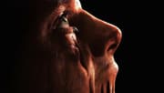 Clayface Test Screening Reactions & Run-Time Revealed; Aaron Paul Reportedly Joins Cast - Spoilers