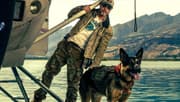 Heart Of The Beast Trailer: Brad Pitt & His Dog Brave The Alaskan Wilderness In First Look - Spoilers