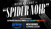 SPIDER-NOIR Posters Swing Online As Trailer Release Date For SPIDER-MAN TV Series Is Revealed