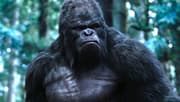 UPDATE: The People Vs. Gorilla Grodd Set Videos Show Grodd Belting Out A Tune & First Look At Jimmy Olsen