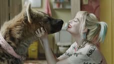 HARLEY QUINN: BIRDS OF PREY Before And After VFX Images Reveal How Harley's Pet Hyena Was Created