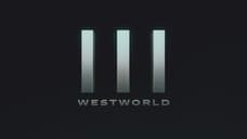 WESTWORLD Season 3 Will Have A Smaller Episode Count Than Previous Seasons