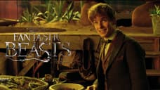 Meet Newt Scamander In A New Hero Featurette For FANTASTIC BEASTS AND WHERE TO FIND THEM