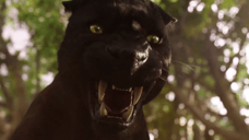 The Legend Will Never Be The Same In The Final Trailer For THE JUNGLE BOOK