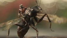 BOX OFFICE: ANT-MAN Stomps On The Competition In The UK With $6.2 Million Haul