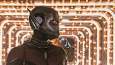ANT-MAN AND THE WASP Director Reveals How Those Mid-Credits Scene Deaths Were Chosen