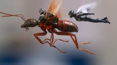 ANT-MAN AND THE WASP Star Evangeline Lilly Is P***ed Off About Its Late Release Date Outside The US