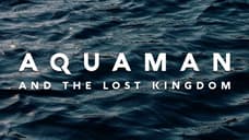 AQUAMAN AND THE LOST KINGDOM Rounds Out Cast With Randall Park, Indya Moore, Jani Zhao & Vincent Regan