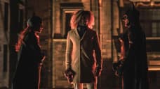 BATGIRL Director Says The Movie Was A Blend Between Nolan And Burton And Teases Oscar-Worthy Performance