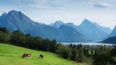 BLACK WIDOW Commences Filming in Norway - Scarlett Johansson on Set