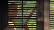 BOND 25 First Look Gives Us A BTS Glimpse Of Daniel Craig's 007 And His Supporting Cast