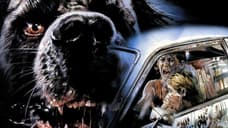 Darren Aronofsky In Talks To Direct New Adaptation Of Stephen King's CUJO For Netflix