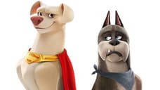 DC LEAGUE OF SUPER-PETS: New Tie-In Book Reveals The Entire Plot Of The Movie - SPOILERS Follow!
