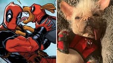 DEADPOOL 3: A New Look At Dogpool Sees The Weirdly Adorable Pooch Making Wade Wilson Proud