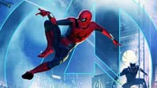 Disneyland's Marvel Package Provides A New Look At Possible Costume Design For SPIDER-MAN: HOMECOMING Sequel