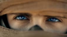 DUNE: PART TWO Continues To Have Strong Legs At The Global Box Office; Closing In On $600M Worldwide