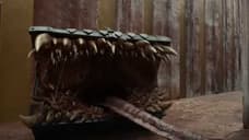 DUNGEONS & DRAGON: HONOR AMONG THIEVES Teaser Reveals More Of The Movie's Creatures And Monsters