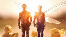 First ANT-MAN AND THE WASP Clip Sees Evangeline Lilly's Hope Van Dyne Taking Out Some Goons