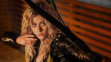 GREEN ARROW AND THE CANARIES Backdoor Pilot Synopsis Reveals New Details About The ARROW Spinoff