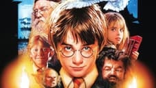 HARRY POTTER Director David Yates Won't Return For Reboot And Says It Will Be A Challenge For Max