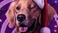 HAWKEYE Star Jolt Celebrates The Show's Premiere - And Her Birthday - With Adorable Instagram Post