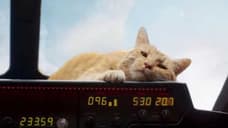 New CAPTAIN MARVEL Footage Spotlights Goose The Cat In Celebration Of Love Your Pet Day