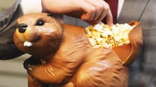 Nice Beaver! THE NAKED GUN Popcorn Bucket Hilariously Recalls Original's Bawdiest Joke; First Reactions Land