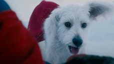 One Of James Gunn's First Ideas For A DC Film? A KRYPTO THE SUPERDOG Movie With SUPERMAN As A Side Character