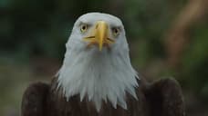 PEACEMAKER Season Finale Promo Teases World-Ending Consequences And New Addition To The Anti-Hero's Arsenal