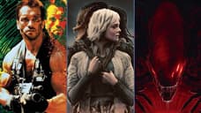 PREDATOR: BADLANDS Director Talks Possible Xenomorph Cameo And Confirms Talks With Arnold Schwarzenegger