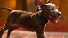 Scooby-Doo: Origins - Netflix Reveals New Look At Live-Action Show's Adorable Canine Star