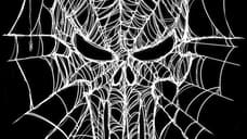 Spider-Man: Brand New Day Promo Art Spotlights The Punisher With Webbed Skull Logo Design