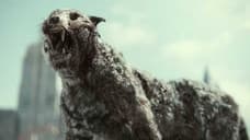 SPIRAL: FROM THE BOOK OF SAW And ARMY OF THE DEAD Underperform In Disappointing Weekend For U.S. Box Office