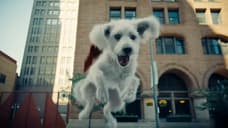 SUPERMAN Set Photos Confirm Big Mister Terrific Moment (And Krypto's [SPOILER]) Were Cut From DCU Movie