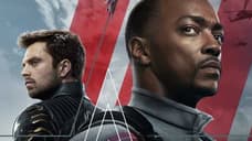 THE FALCON & THE WINTER SOLDIER Has Been Rated 16+ (TV-MA) In The Netherlands