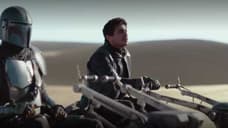 THE MANDALORIAN Actor Declares STAR WARS: THE RISE OF SKYWALKER An Absolute F*cking Failure