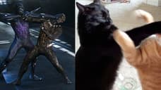 There's Been A Massive Increase In Black Cat Adoptions On Account Of BLACK PANTHER's Success