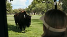 Vince Gilligan Does It Again! PLURIBUS Smashes Records, Topples SEVERANCE On Apple TV