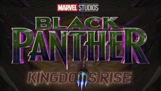 BLACK PANTHER: KINGDOMS RISE - My Pitch for the Black Panther Sequel