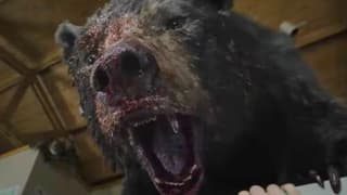 COCAINE BEAR Red Band Trailer Sends The Titular Beast On A Flake-Fuelled Rampage