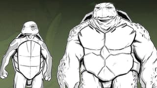 TMNT: A New Generation Of Turtles Introduced In THE LAST RONIN - LOST YEARS