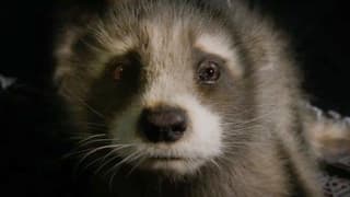 GOTG VOL. 3 Director James Gunn Says He Came Back To Finish Rocket's Story; New Still Released