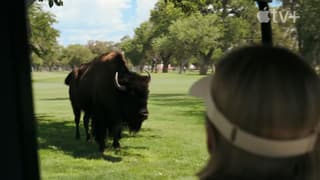 Vince Gilligan Does It Again! PLURIBUS Smashes Records, Topples SEVERANCE On Apple TV