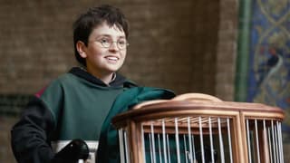 Harry Potter: HBO's Reboot Is Reportedly One Of TV's Most Expensive Shows Ever Made