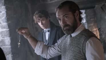 HARRY POTTER Director David Yates Confirms FANTASTIC BEASTS Franchise Has Been Parked By Warner Bros.