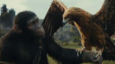 KINGDOM OF THE PLANET OF THE APES Stills Reveal Character Names And Offer Closer Look At The Movie's Leads