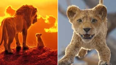 MUFASA: First Trailer For Disney's THE LION KING Prequel Arrives Tomorrow - Check Out A New Image