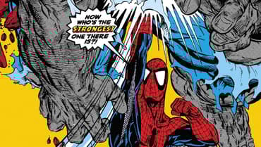 RUMOR: SPIDER-MAN: BRAND NEW DAY Will See Peter Parker And The Punisher Battle The [SPOILER] Version Of Hulk