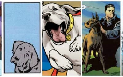POLL: Who's Your Top Super Dog? #NationalDogDay