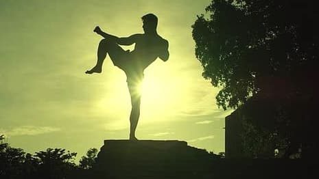 Kickboxer: Vengeance (2016)